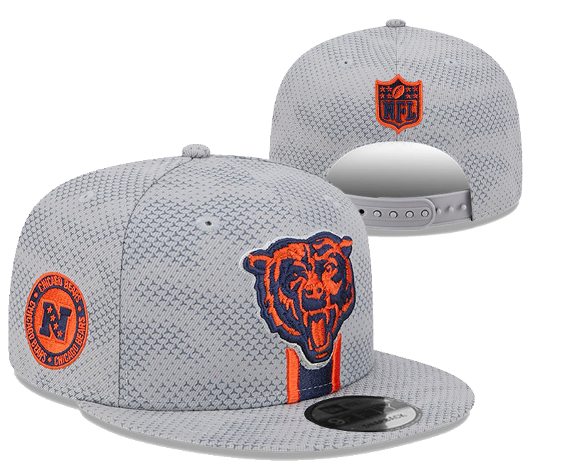 Chicago Bears 2025 Stitched Snapback Hats 009